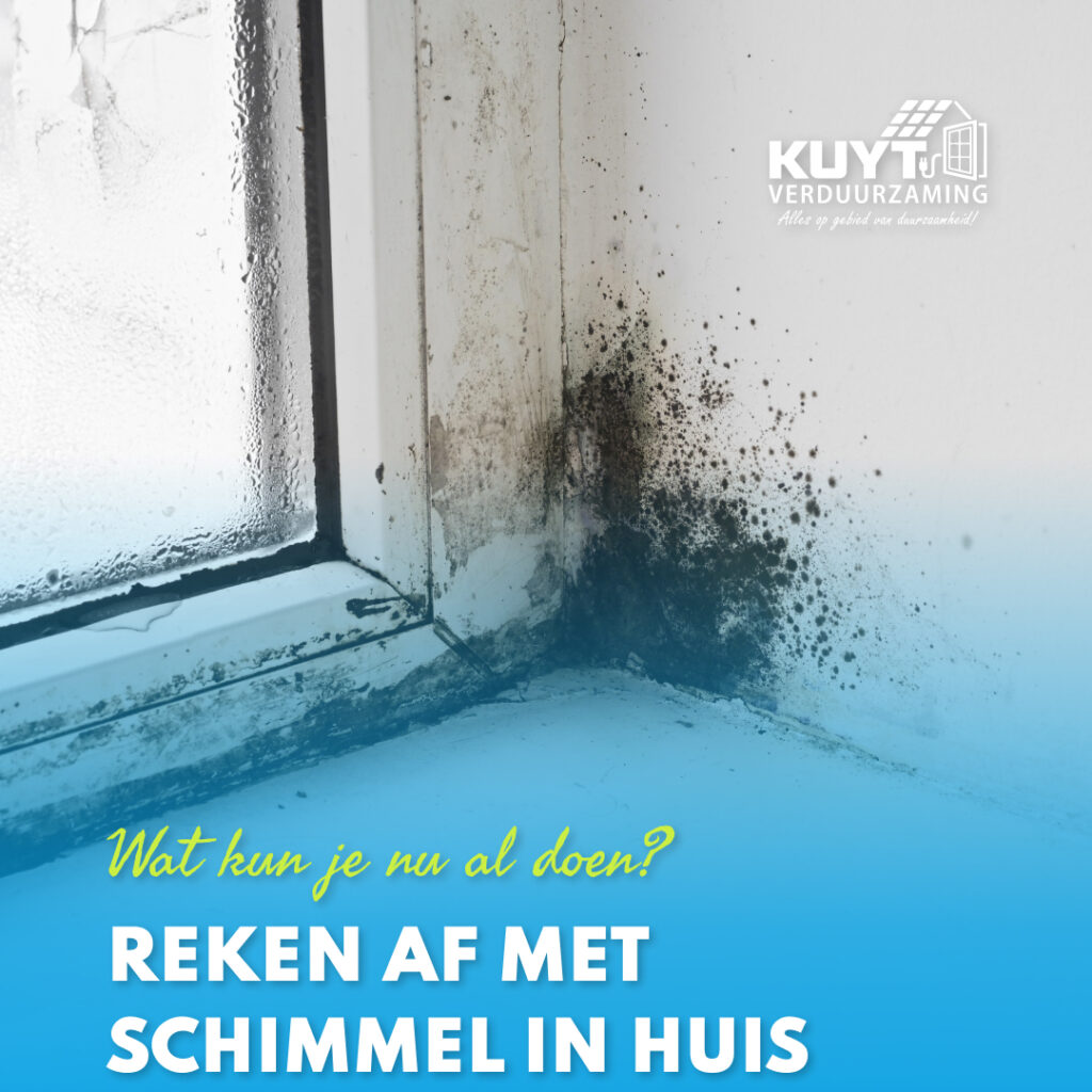 Schimmel in huis